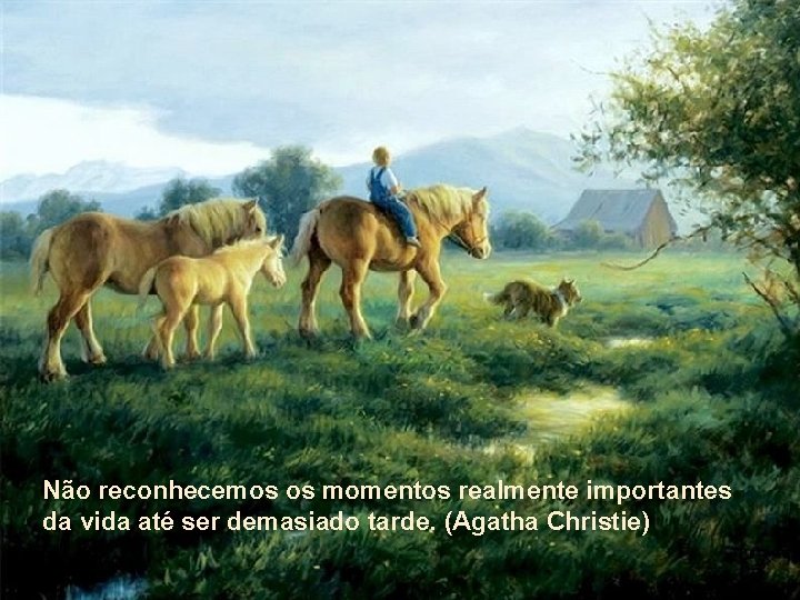 Não reconhecemos os momentos realmente importantes da vida até ser demasiado tarde. (Agatha Christie)