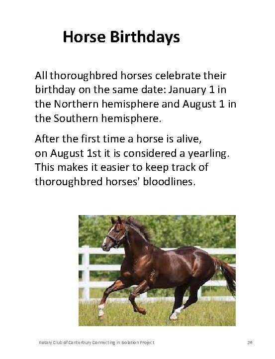 Horse Birthdays All thoroughbred horses celebrate their birthday on the same date: January 1