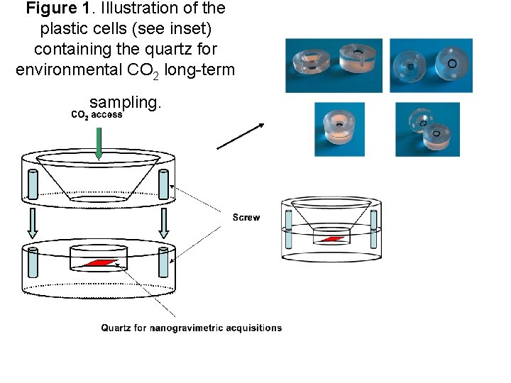 Figure 1. Illustration of the plastic cells (see inset) containing the quartz for environmental