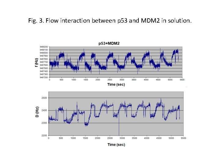 Fig. 3. Flow interaction between p 53 and MDM 2 in solution. 