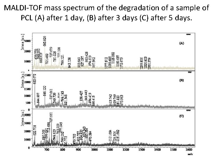 MALDI-TOF mass spectrum of the degradation of a sample of PCL (A) after 1