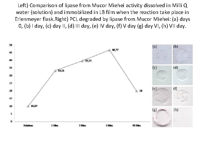 Left) Comparison of lipase from Mucor Miehei activity dissolved in Milli Q water (solution)