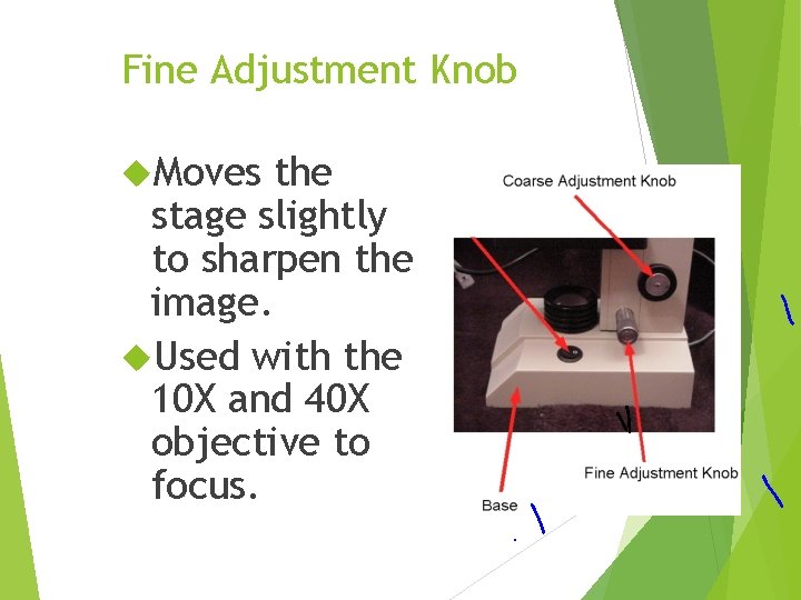 Fine Adjustment Knob Moves the stage slightly to sharpen the image. Used with the
