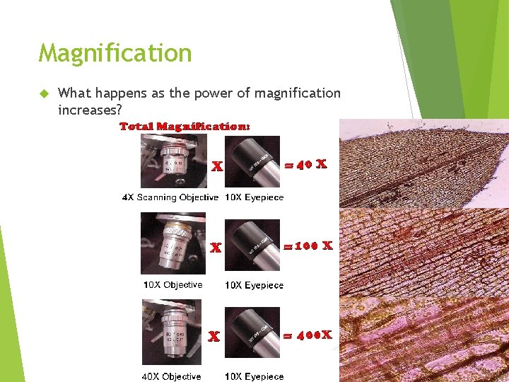 Magnification What happens as the power of magnification increases? 