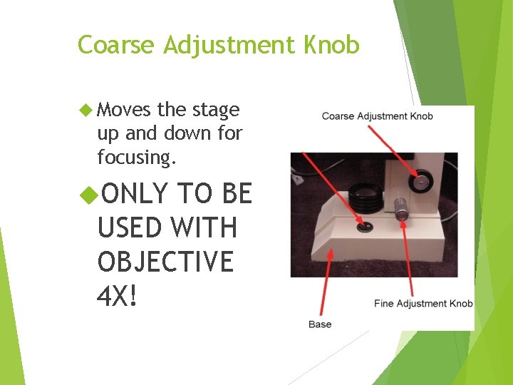 Coarse Adjustment Knob Moves the stage up and down for focusing. ONLY TO BE