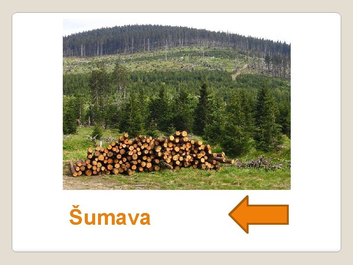 Šumava 