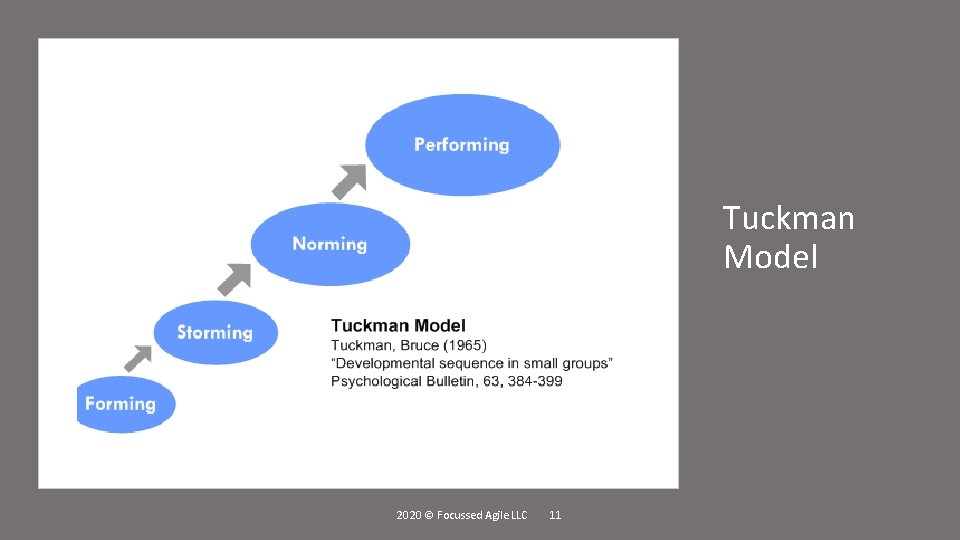 Tuckman Model 2020 © Focussed Agile LLC 11 
