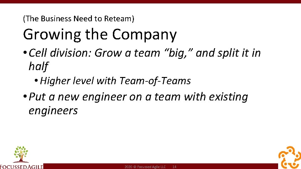 (The Business Need to Reteam) Growing the Company • Cell division: Grow a team