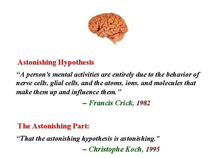 Astonishing Hypothesis “A person's mental activities are entirely due to the behavior of nerve