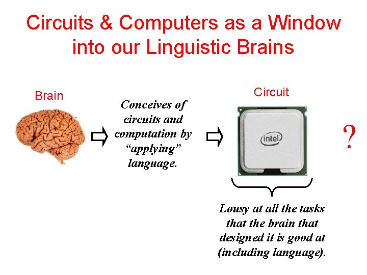 Circuits & Computers as a Window into our Linguistic Brains Brain Conceives of circuits