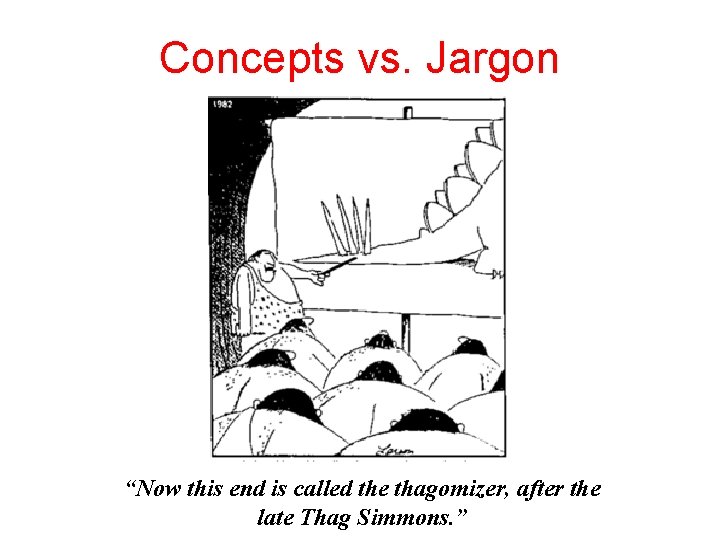Concepts vs. Jargon “Now this end is called the thagomizer, after the late Thag