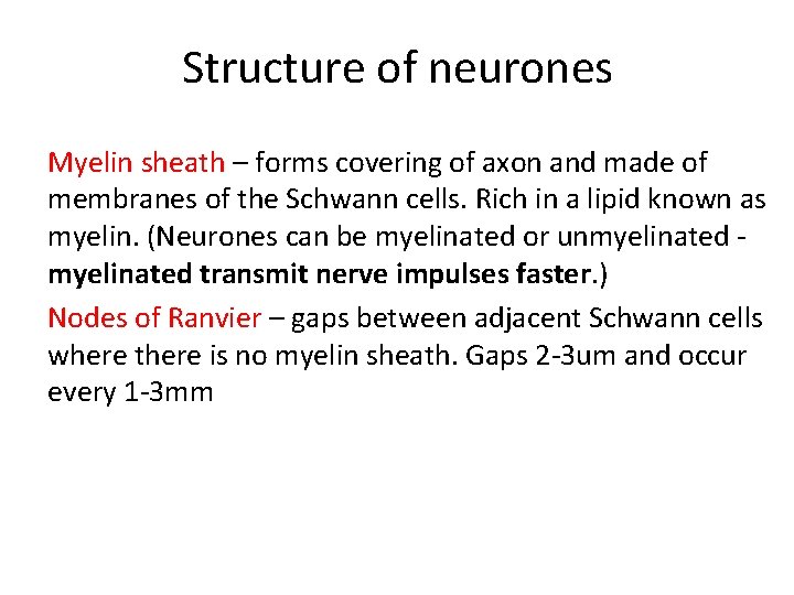 Structure of neurones Myelin sheath – forms covering of axon and made of membranes