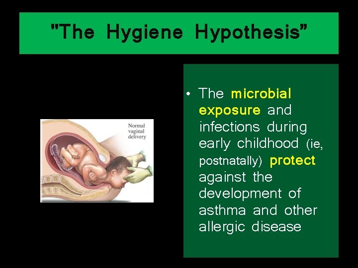 "The Hygiene Hypothesis” • The microbial exposure and infections during early childhood (ie, postnatally)