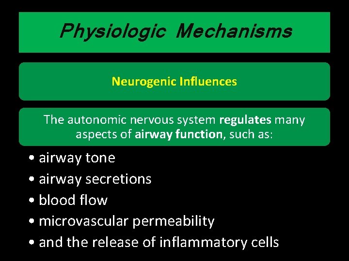 Physiologic Mechanisms Neurogenic Influences The autonomic nervous system regulates many aspects of airway function,