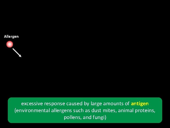 Allergen excessive response caused by large amounts of antigen (environmental allergens such as dust