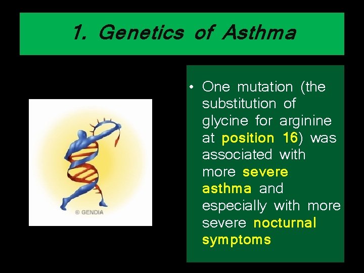 1. Genetics of Asthma • One mutation (the substitution of glycine for arginine at