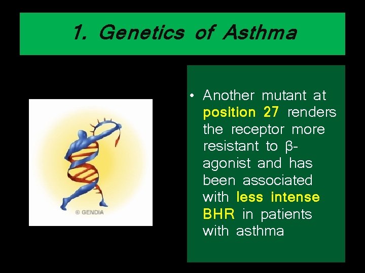 1. Genetics of Asthma • Another mutant at position 27 renders the receptor more