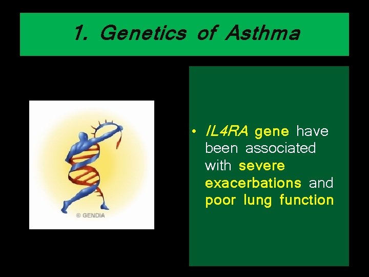 1. Genetics of Asthma • IL 4 RA gene have been associated with severe