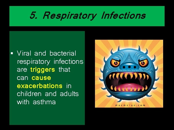 5. Respiratory Infections § Viral and bacterial respiratory infections are triggers that can cause