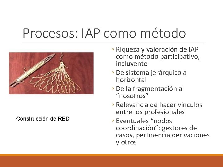 Procesos: IAP como método Construcción de RED ◦ Riqueza y valoración de IAP como