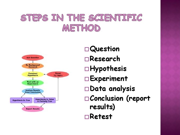 STEPS IN THE SCIENTIFIC METHOD � Question � Research � Hypothesis � Experiment �