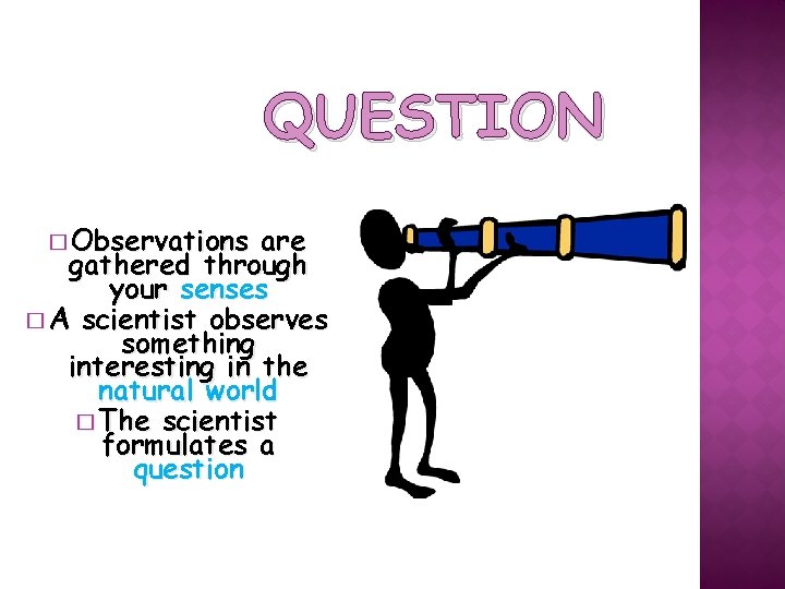 QUESTION � Observations are gathered through your senses � A scientist observes something interesting