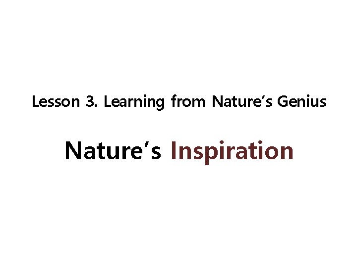 Lesson 3. Learning from Nature’s Genius Nature’s Inspiration 