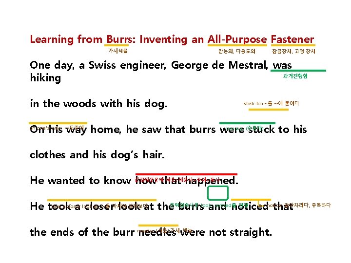 Learning from Burrs: Inventing an All-Purpose Fastener 가시식물 만능의, 다용도의 잠금장치, 고정 장치 One