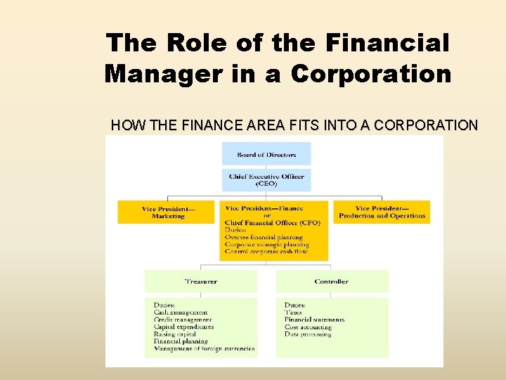The Role of the Financial Manager in a Corporation HOW THE FINANCE AREA FITS