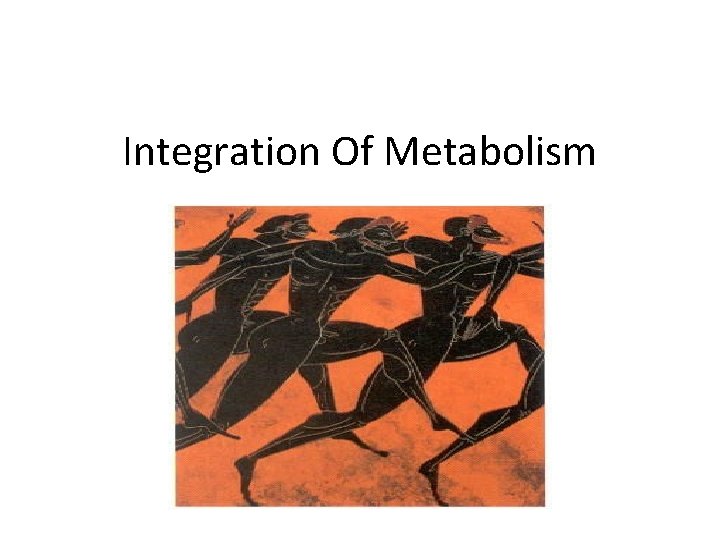 Integration Of Metabolism 