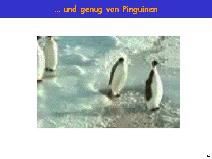 … und genug von Pinguinen 44 