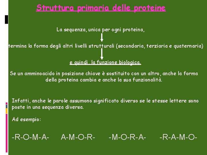 Struttura primaria delle proteine La sequenza, unica per ogni proteina, determina la forma degli