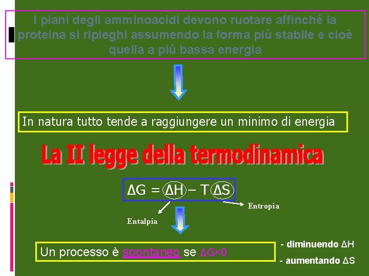 I piani degli amminoacidi devono ruotare affinché la proteina si ripieghi assumendo la forma