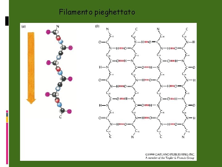 Filamento pieghettato 