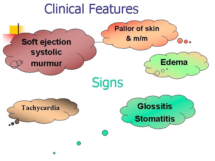 Clinical Features Soft ejection systolic murmur Pallor of skin & m/m Edema Signs Tachycardia