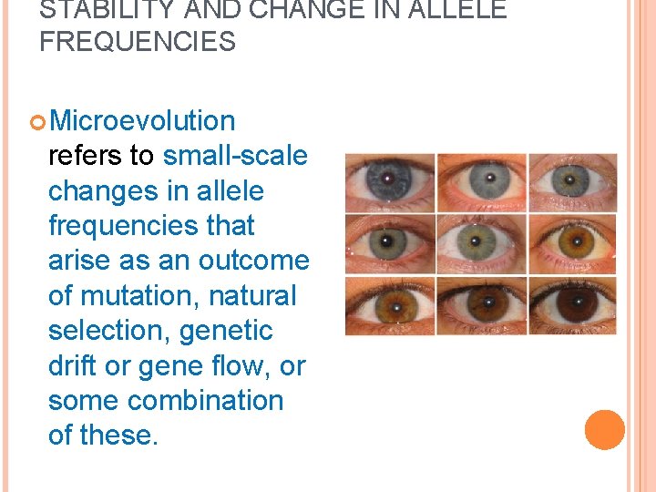 STABILITY AND CHANGE IN ALLELE FREQUENCIES Microevolution refers to small-scale changes in allele frequencies