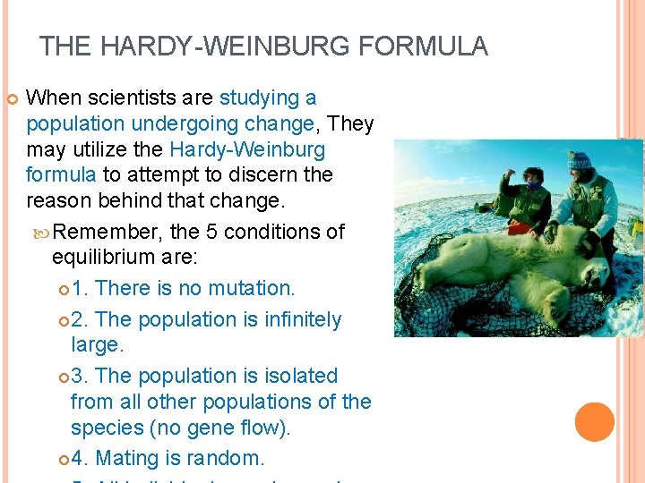 THE HARDY-WEINBURG FORMULA When scientists are studying a population undergoing change, They may utilize