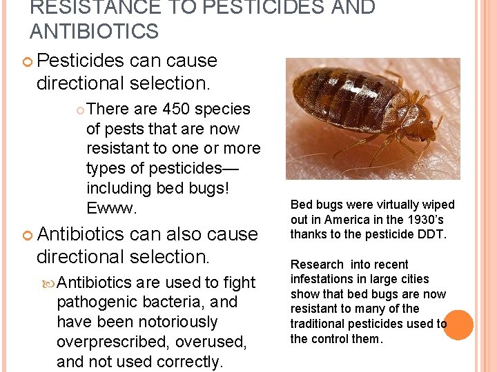 RESISTANCE TO PESTICIDES AND ANTIBIOTICS Pesticides can cause directional selection. There are 450 species