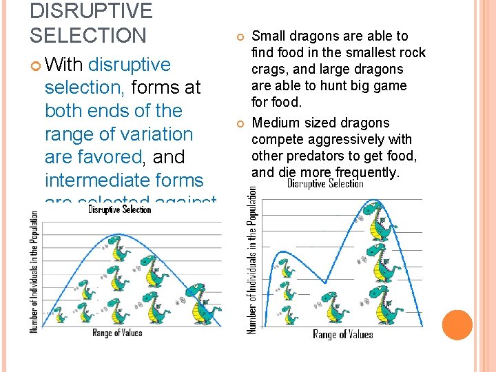 DISRUPTIVE SELECTION disruptive selection, forms at both ends of the range of variation are