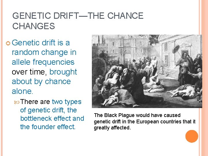 GENETIC DRIFT—THE CHANCE CHANGES Genetic drift is a random change in allele frequencies over