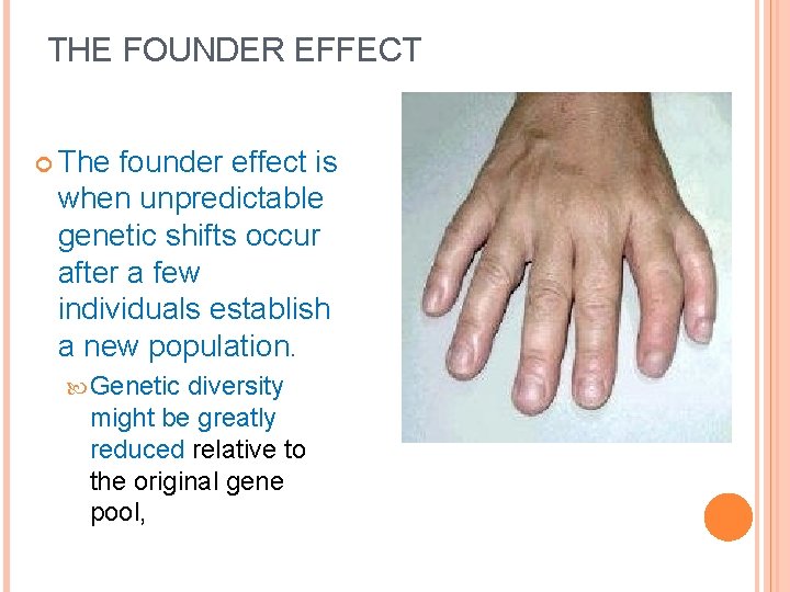 THE FOUNDER EFFECT The founder effect is when unpredictable genetic shifts occur after a