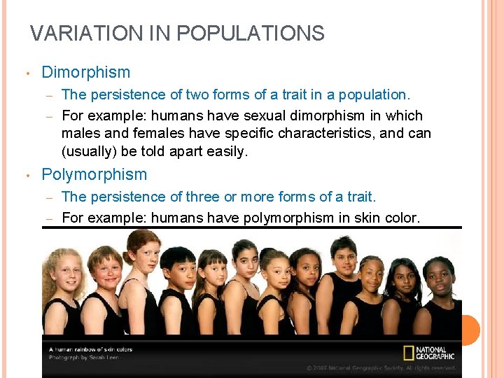 VARIATION IN POPULATIONS • Dimorphism The persistence of two forms of a trait in