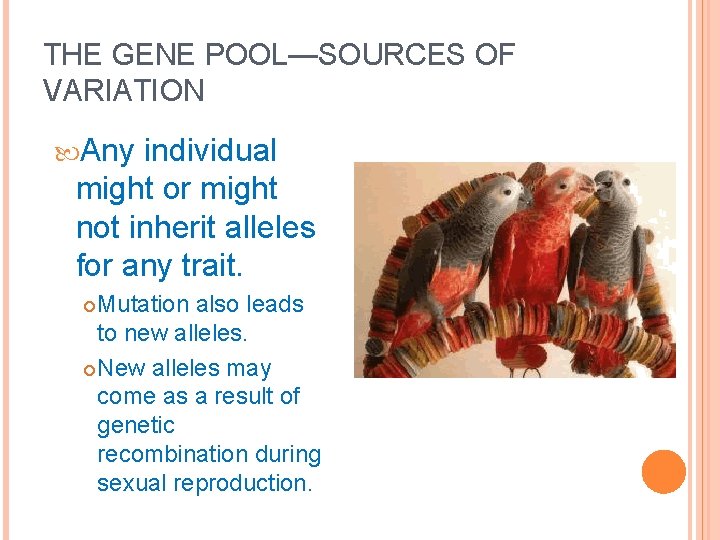 THE GENE POOL—SOURCES OF VARIATION Any individual might or might not inherit alleles for