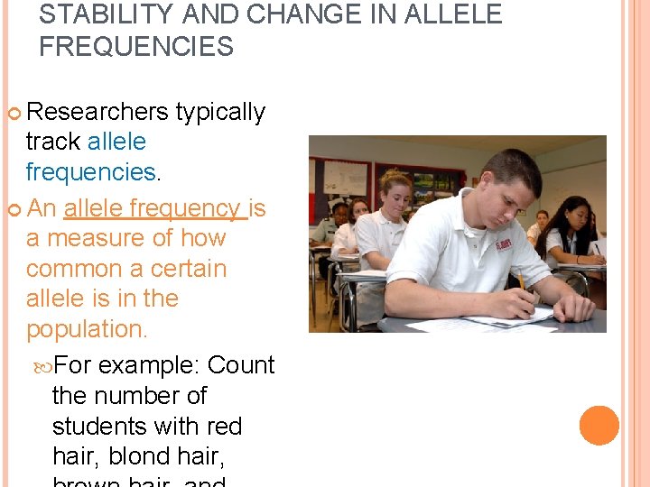 STABILITY AND CHANGE IN ALLELE FREQUENCIES Researchers typically track allele frequencies. An allele frequency