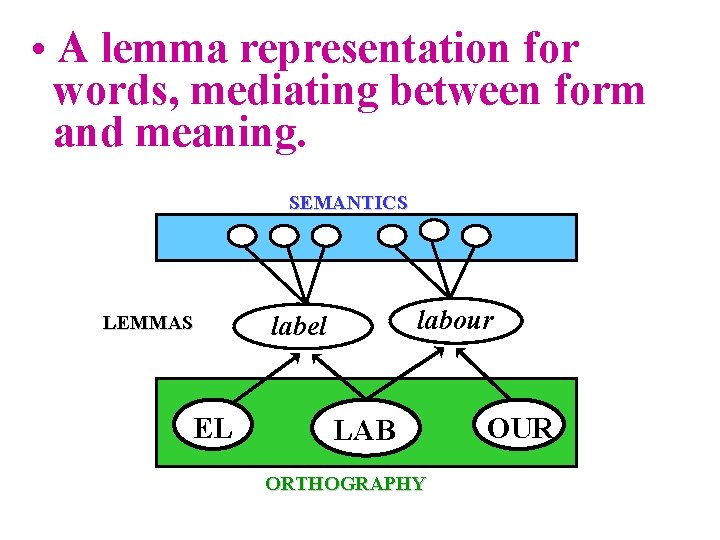 • A lemma representation for words, mediating between form and meaning. SEMANTICS LEMMAS