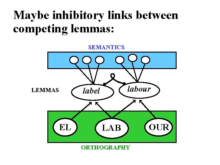 Maybe inhibitory links between competing lemmas: SEMANTICS LEMMAS EL labour label LAB ORTHOGRAPHY OUR