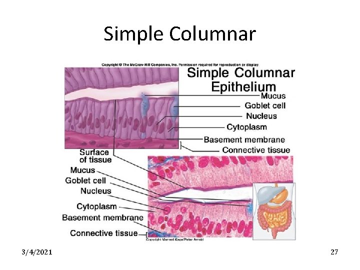 Simple Columnar 3/4/2021 27 