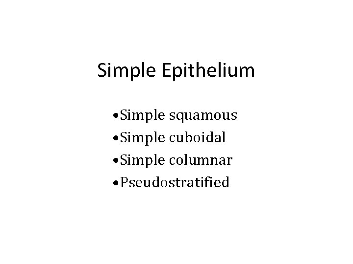 Simple Epithelium • Simple squamous • Simple cuboidal • Simple columnar • Pseudostratified 