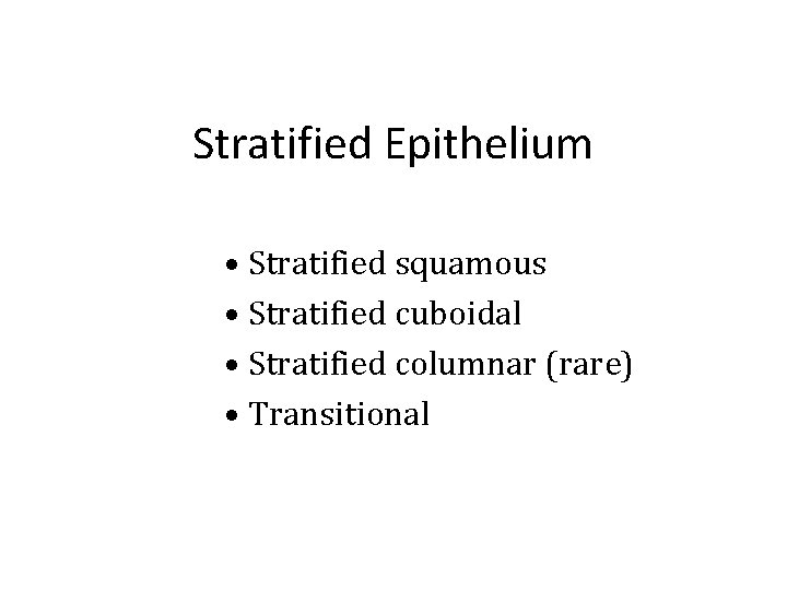 Stratified Epithelium • Stratified squamous • Stratified cuboidal • Stratified columnar (rare) • Transitional