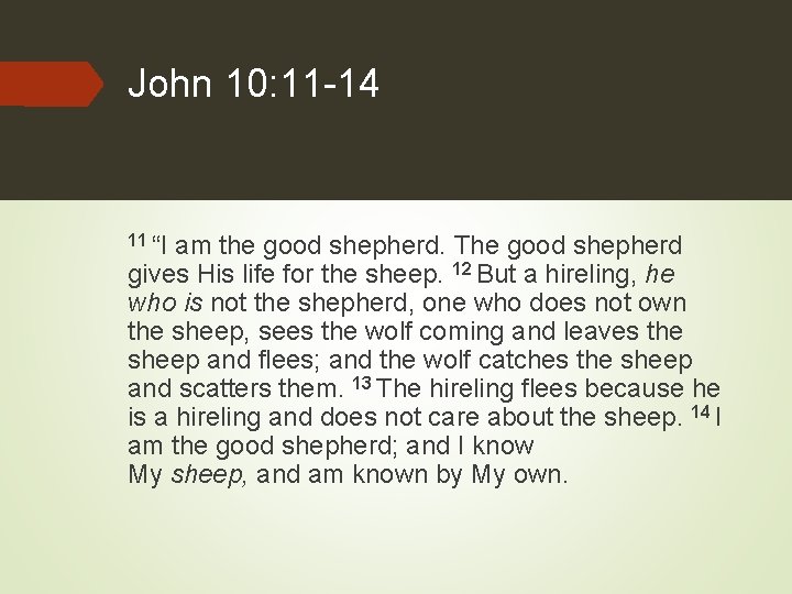 John 10: 11 -14 11 “I am the good shepherd. The good shepherd gives
